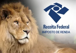 Empresas já podem declarar o Imposto de Renda